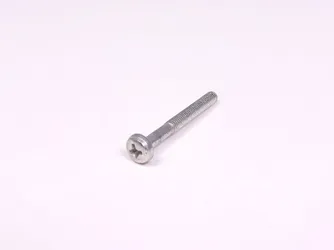 Tornillo DIN 7985 38.20 MM M5 ZN