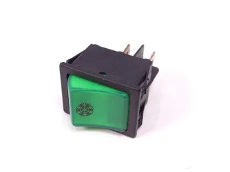 Interruptor Bipolar Verde 250V