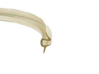 Junta transparente 1120 mm