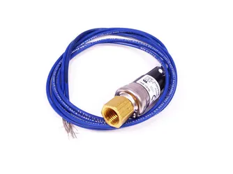 Asa izquierda completa