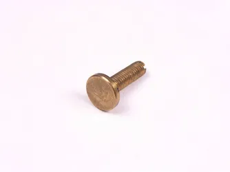 Micro Tornillo de ajuste 20.10 mm M5