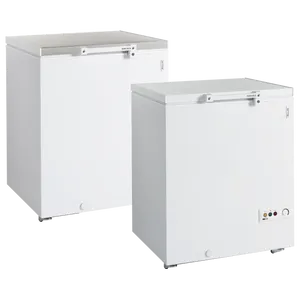 FR605 SL - Ice Cream Freezer, Solid Lid - 16179