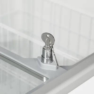 IC201SC - Ice Cream Freezer - 48829