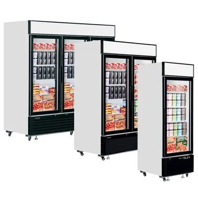 LGF2500 - Glass Door Display Freezer - 20269