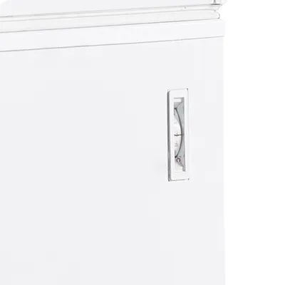 FR405 SL - Ice Cream Freezer, Solid Lid - 16173