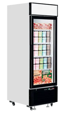 LGF2500 - Glass Door Display Freezer - 20269