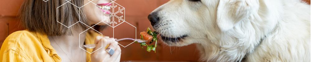 How to store fresh and frozen pet food