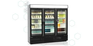 Display Coolers - 2-3 doors