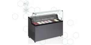 Scoop Ice Cream Freezers - Static