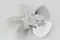Fan Blade