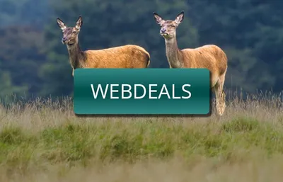 Webdeals